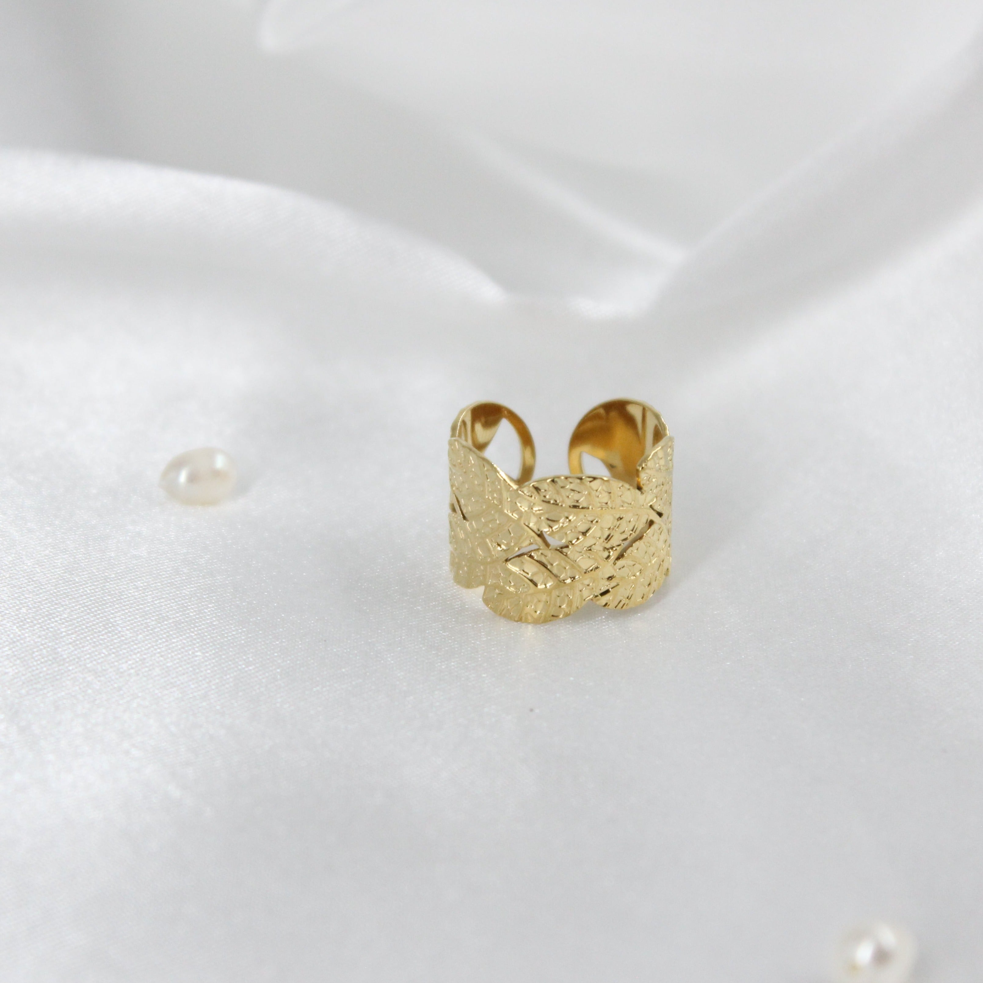 Anillo Riscco